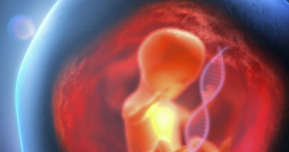 ISS recomenda ultrassom no primeiro trimestre e oferta universal do teste do DNA fetal