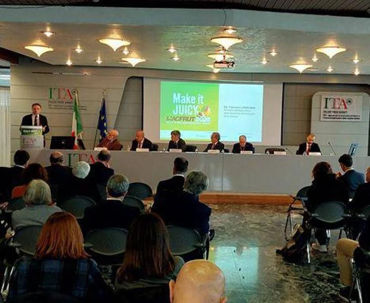 Macfrut 2026 reúne cadeia mundial da hortifrúti; setor vale cerca de €19 bilhões