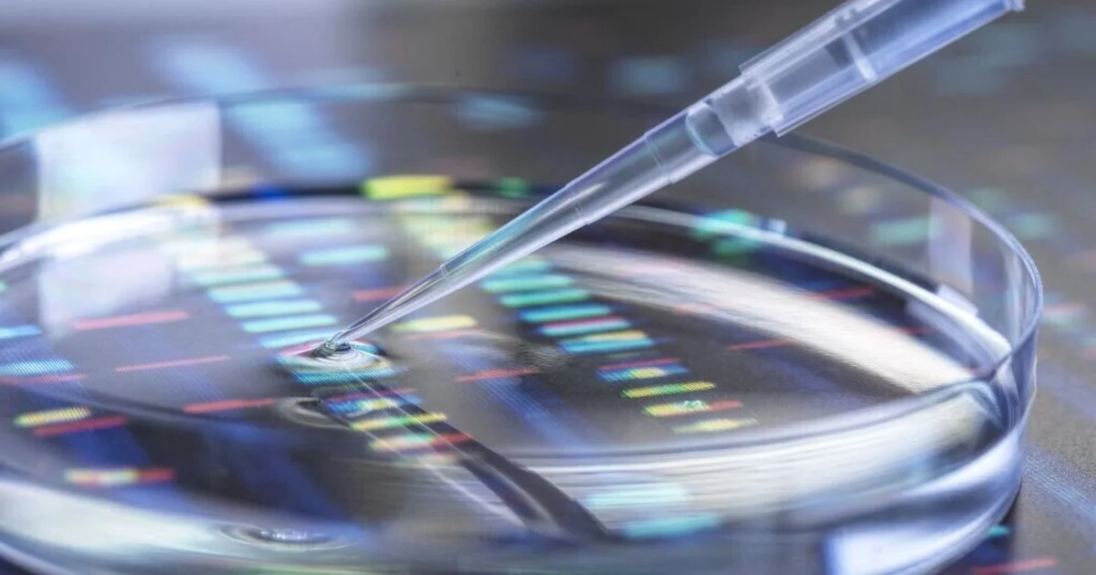 Como a nutrição de precisão usa o DNA para criar dietas realmente personalizadas