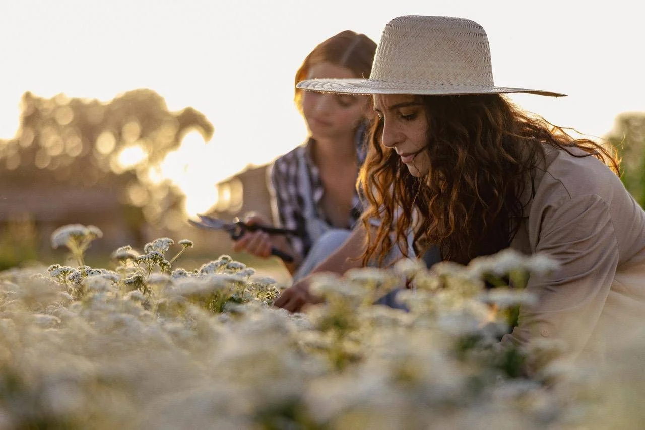 Inscrições abertas para The Good Farmer Award 2026: apoio de €10.000 a jovens agricultores regenerativos