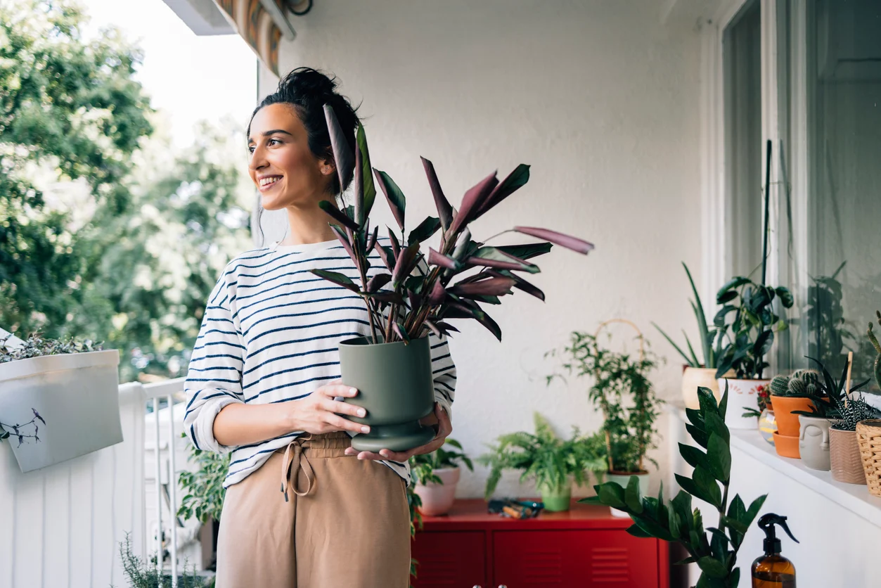 Como melhorar a Umidade da Casa na Itália durante o Verão