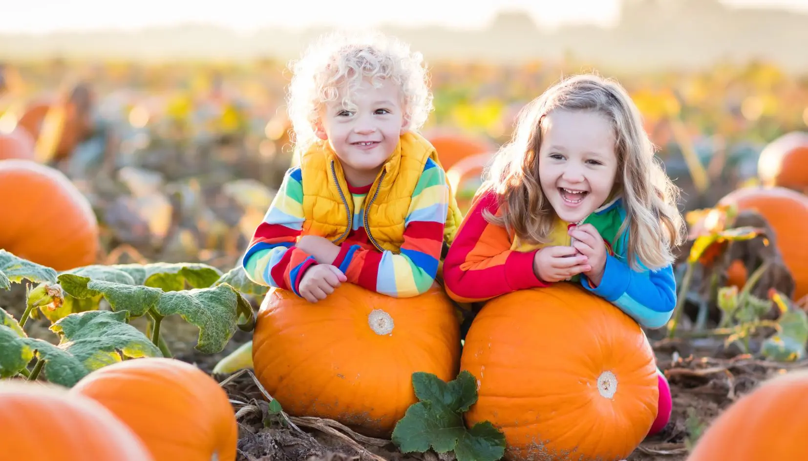 Pumpkin Village em Treviso: O Encanto do Outono na Fazenda Nonno Andrea