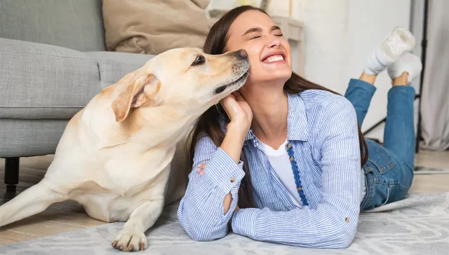 Bônus para Animais de Estimação 2025: Requisitos, Como Solicitá-lo e Obtê-lo