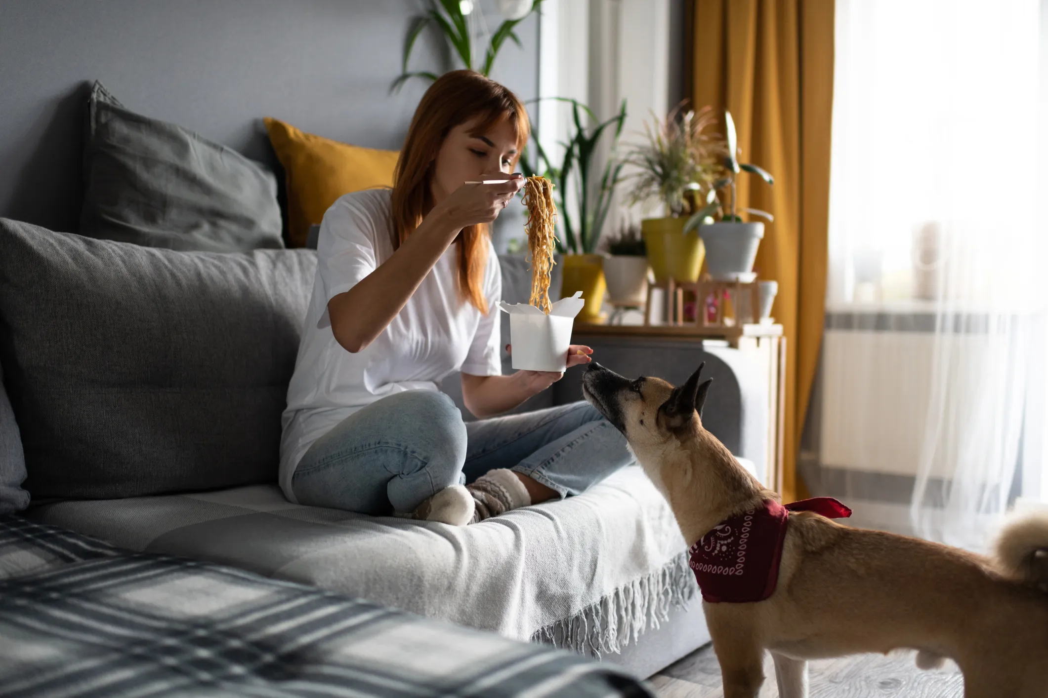 Macarrão e Cães: Um Guia Completo para Donos Responsáveis