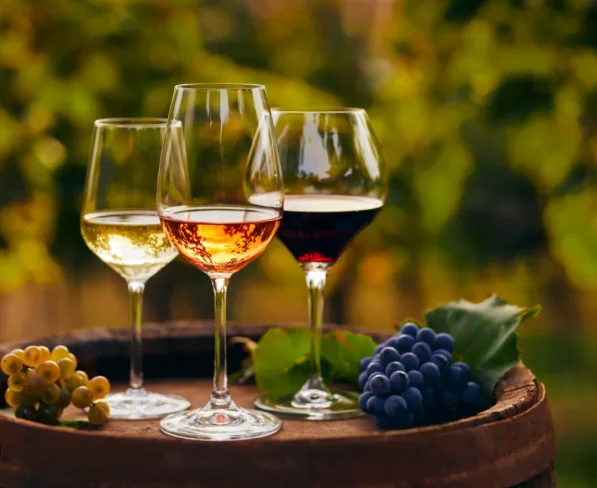 Barolo, Brunello e Chianti: Vinhos Que Você Precisa Conhecer