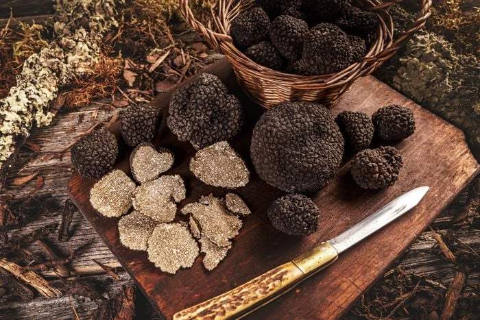 O que Comer em Setembro: Trufas, Cogumelos, Figos e Uvas