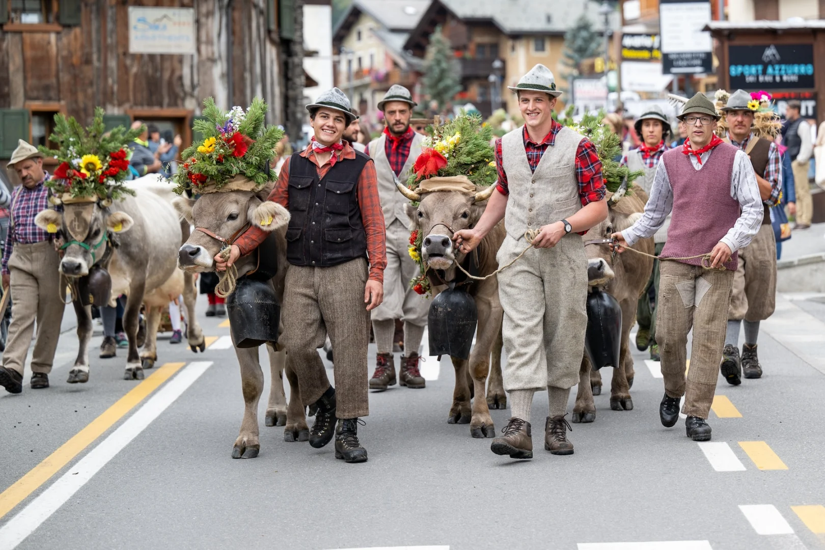 Transumança de Outono: Pastores, Rebanhos e Tradição