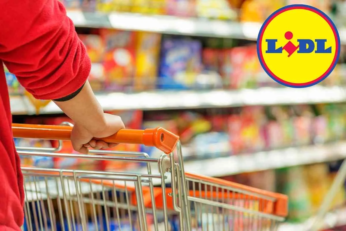 Promoções de Outubro no Lidl: Ofertas Imperdíveis Durante Todo o Mês