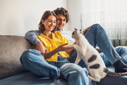 Animais de estimação em imóveis alugados: Direitos do locador e do inquilino