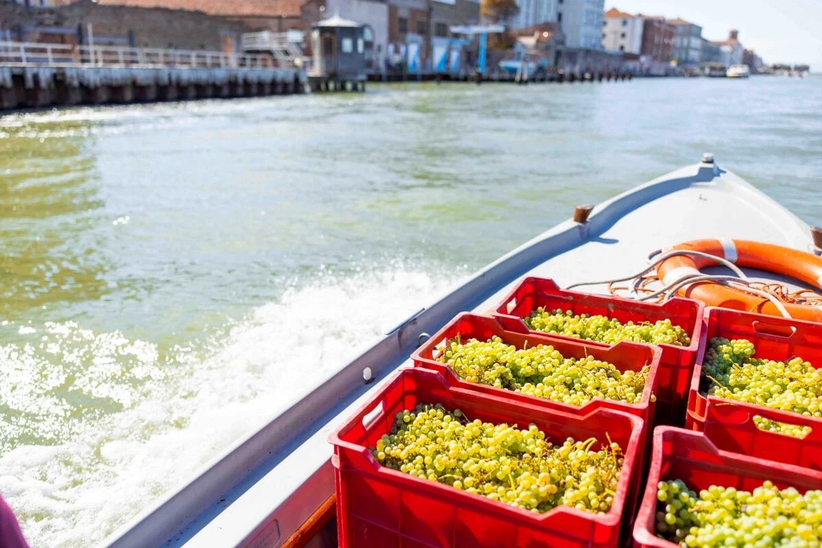 San Francesco della Vigna: Uma Experiência de Enoturismo e Patrimônio Veneziano