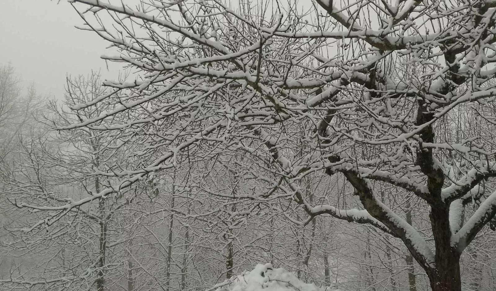 Alerta amarelo por neve no interior do Ponente: A6 e A26 em risco;