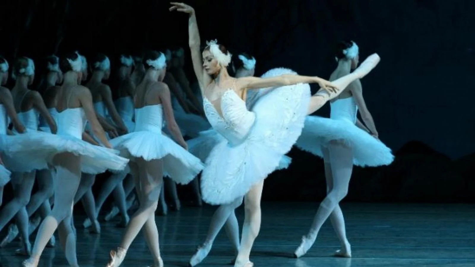 Il Lago dei Cigni no Teatro Regio: o clássico de Natal que encerra 2025 em grande estilo