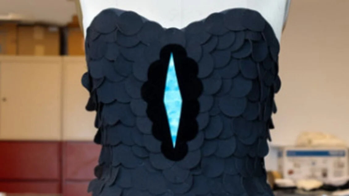 Ave-do-paraíso inspira tecido ultranegro que absorve 99,87% da luz