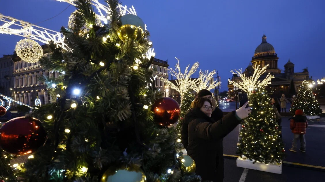 Plantas símbolo do Natal: do Azevinho ao Abeto, origem e significado