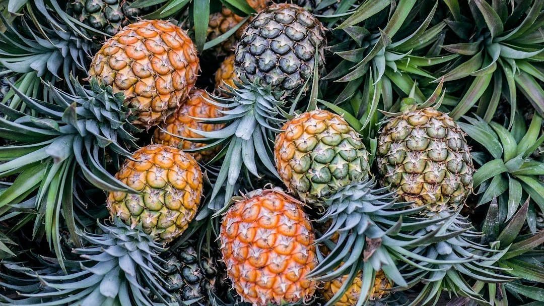 Unsplash - orange and green pineapple fruits - 24/12/2025