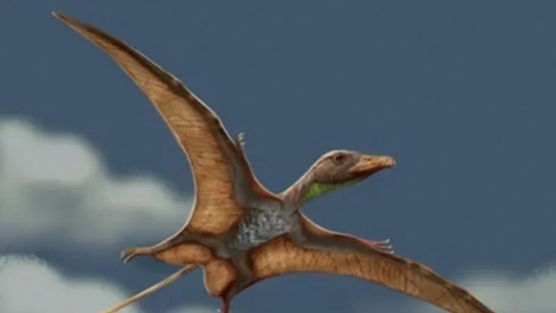 Fóssil brasileiro de 233 milhões de anos revela como o cérebro se adaptou ao voo