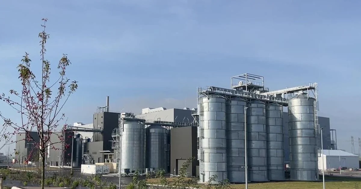 Falência da Ynsect: o colapso da insetticoltura industrial e as lições para investimentos europeus