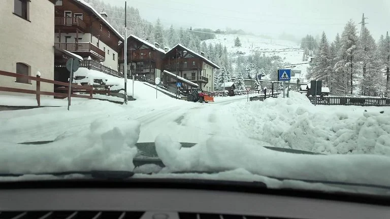 Allerta meteo gialla in otto regioni, correnti fredde e neve. Paura a Roma, crolla grande albero — rainews.it