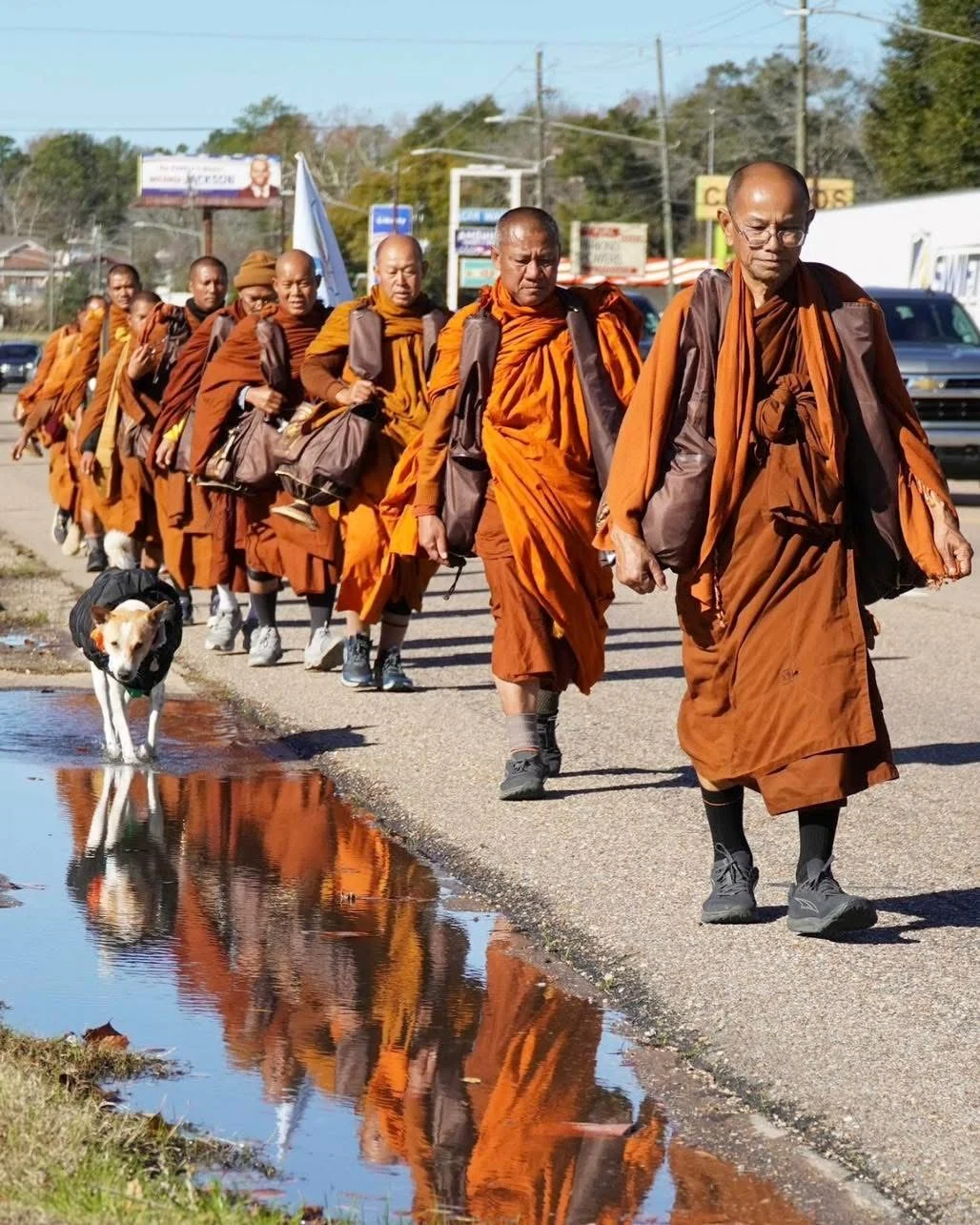 Il «buen camino» di Aloka, il cane che accompagna i monaci nel pellegrinaggio per la pace negli Usa — corriere.it