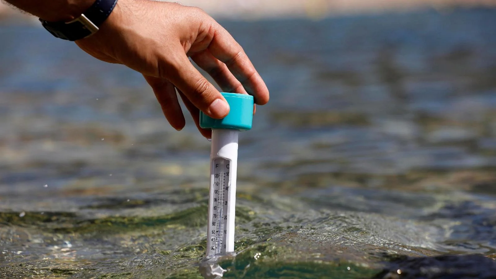 Oceanos em alerta: 2025 registra novo recorde de calor e sinaliza riscos climáticos