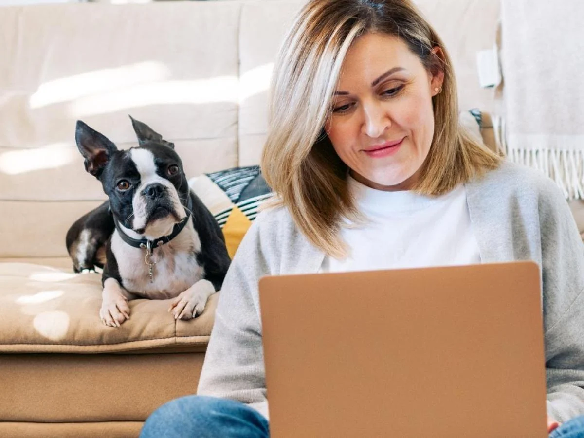 Estudo revela: cães mais inteligentes aprendem novas palavras apenas escutando seus donos