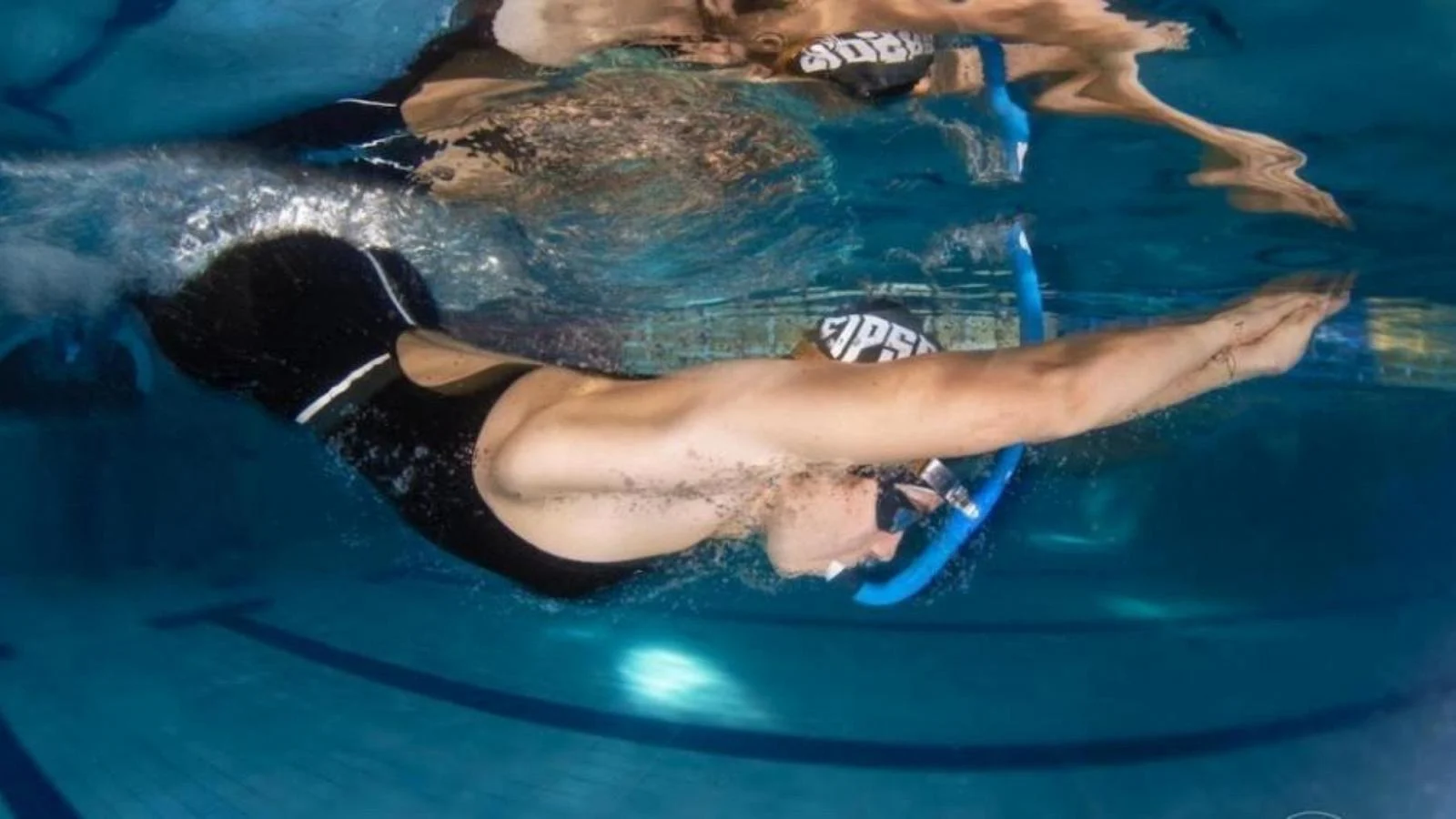 FIPSAS celebra 2025 com 127 medalhas e aposta no projeto 'Talento Pinnato' para formar jovens