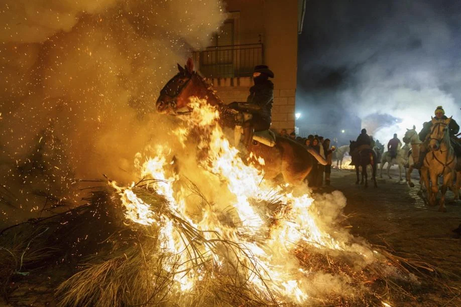 Oggi è Sant'Antonio Abate, protettore degli animali. In Spagna si celebra spingendo cavalli in mezzo alle fiamme... — corriere.it