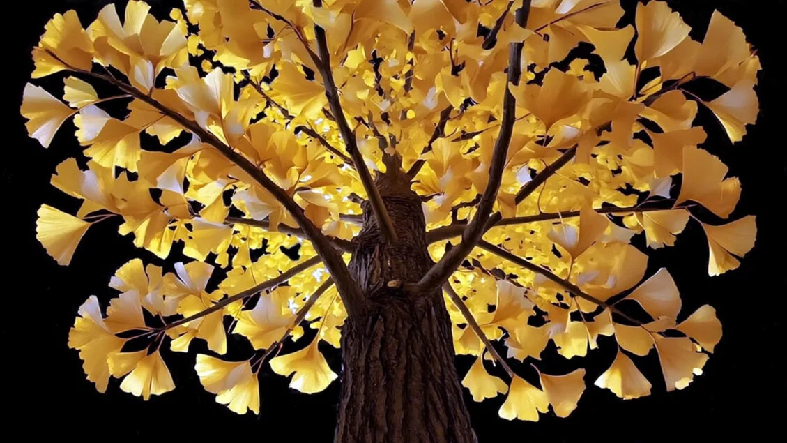 Milão em foco: Deborah Hirsch e os mestres da fotografia em exposições imperdíveis