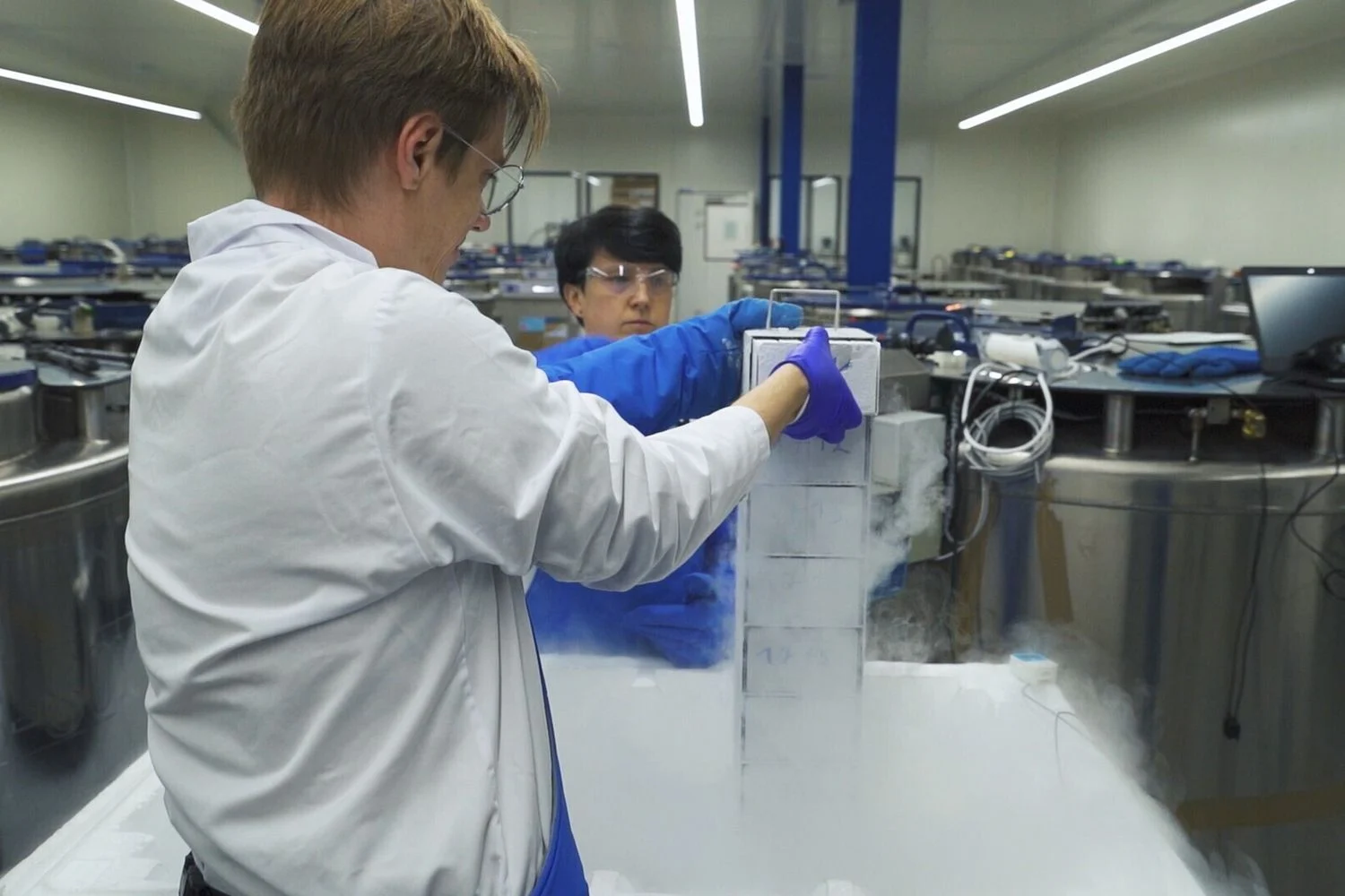 UBC desenvolve método escalável para gerar células T auxiliares a partir de células-tronco — avanço para 'fármacos vivos' off-the-shelf