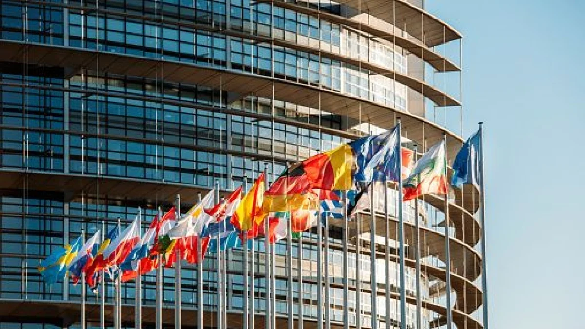 Corpo Europeu de Solidariedade: como 550 mil jovens impulsionam 7 mil projetos pela Europa