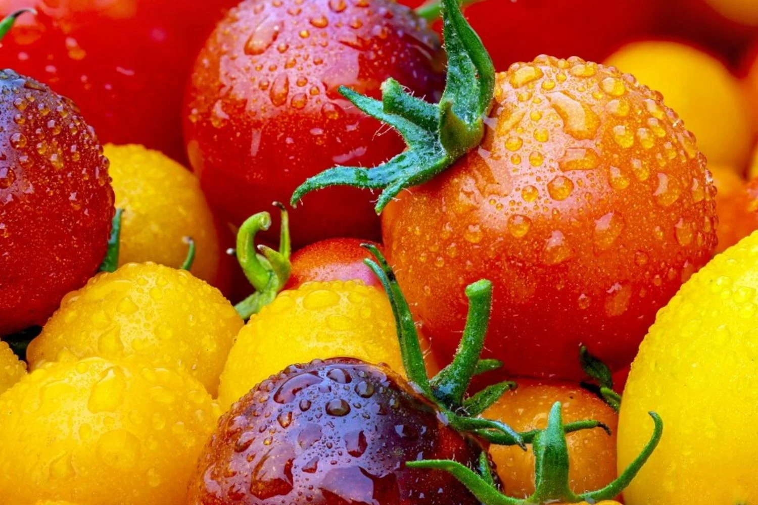 Vitamina C pode proteger a fertilidade masculina contra poluentes como o perclorato de potássio