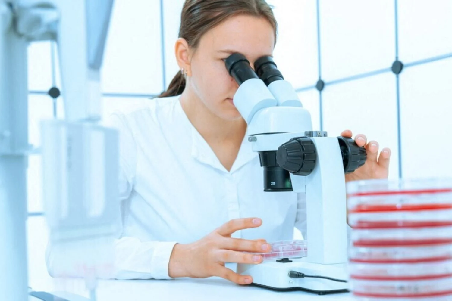 Descoberto o mecanismo da Candida auris: genes ativados podem orientar novos tratamentos