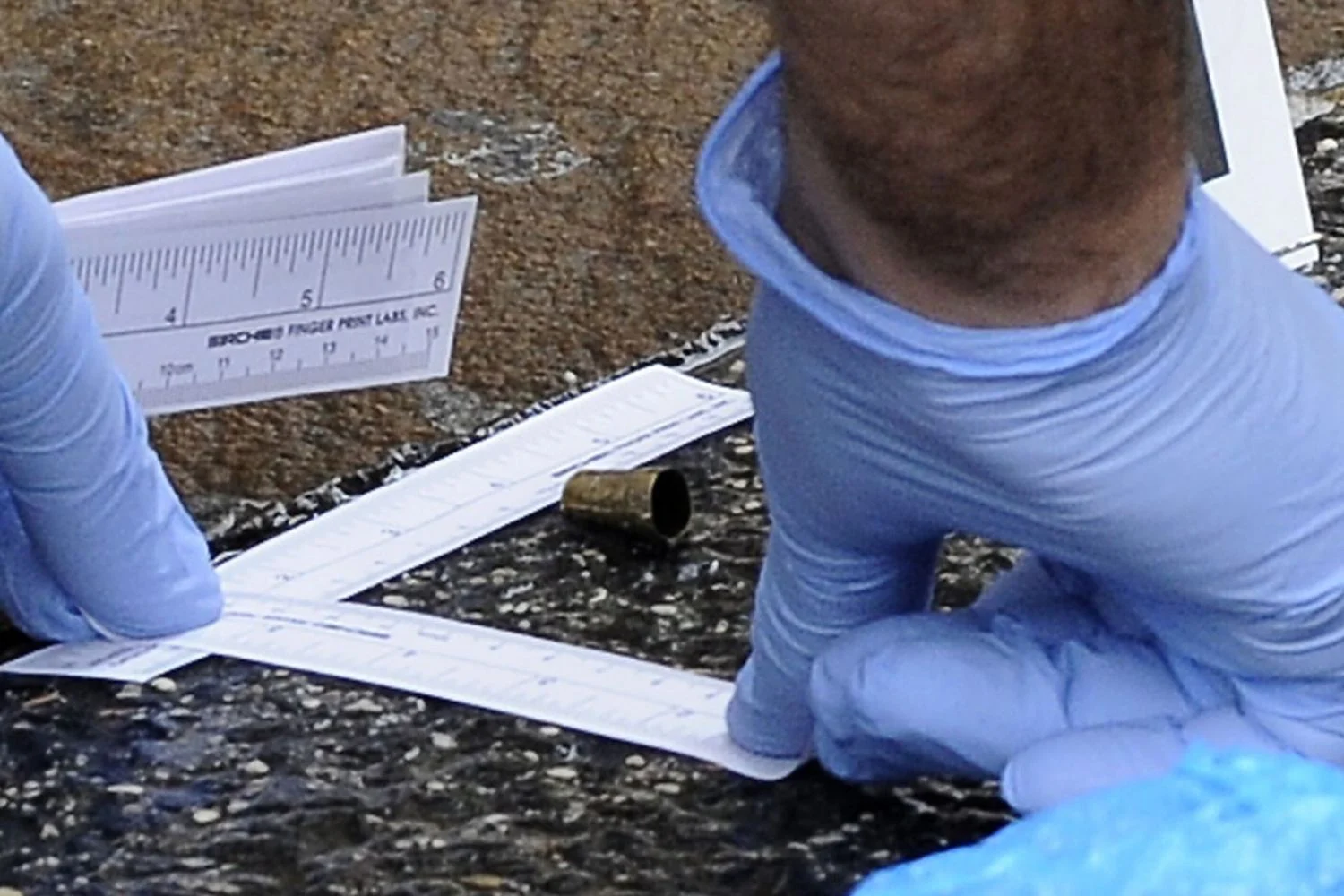 Promotoria: Federica foi morta em casa; corpo enterrado e coberto por arbustos