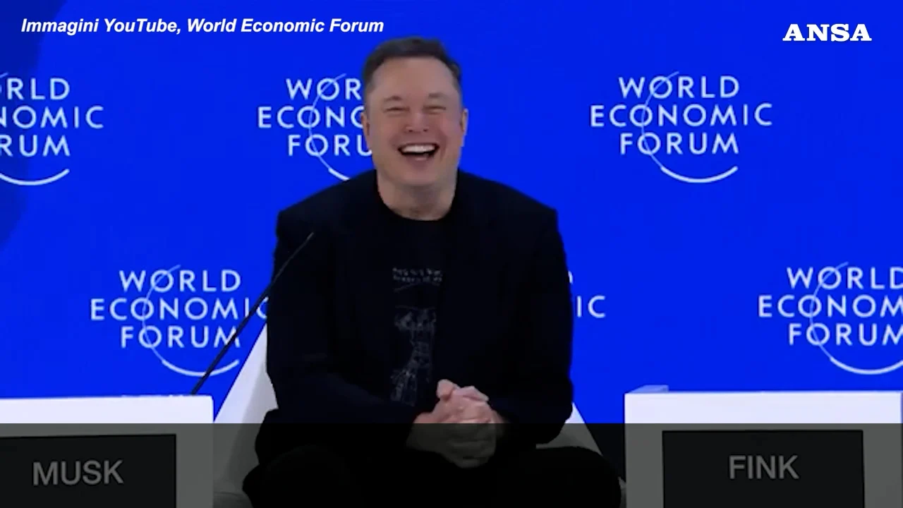 Musk em Davos provoca Trump: «Board of Peace» é paz ou 'piece'? Piada sobre Groenlândia e Venezuela