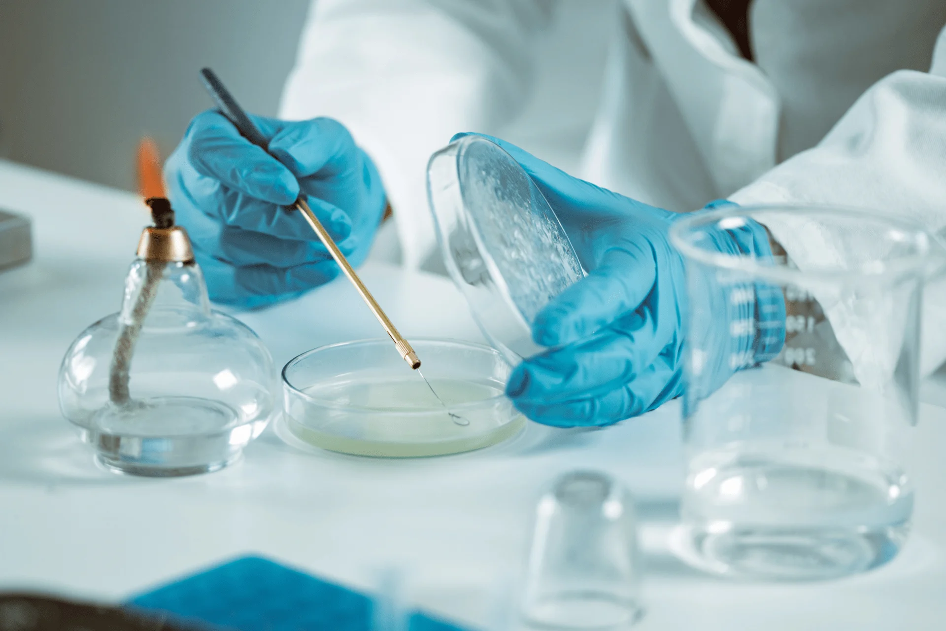 Pesquisa italiana aponta nova rota para tratar a esclerose múltipla reforçando mecanismos anti-inflamatórios do sistema imunológico