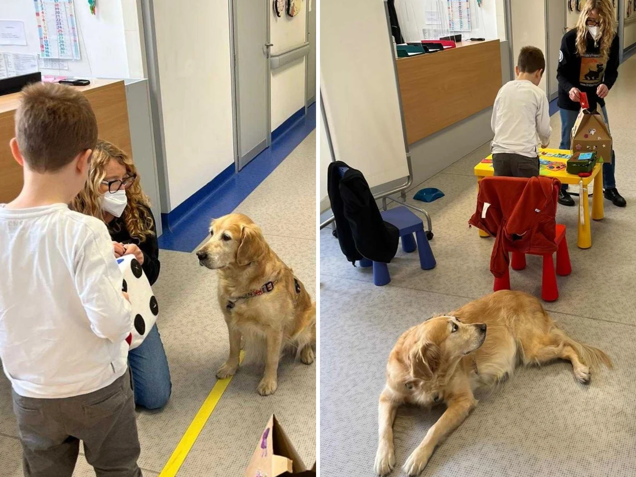 Con un cane al fianco, il casco dell'encefalogramma non fa più paura. Così la pet therapy dà coraggio ai bambini — corriere.it