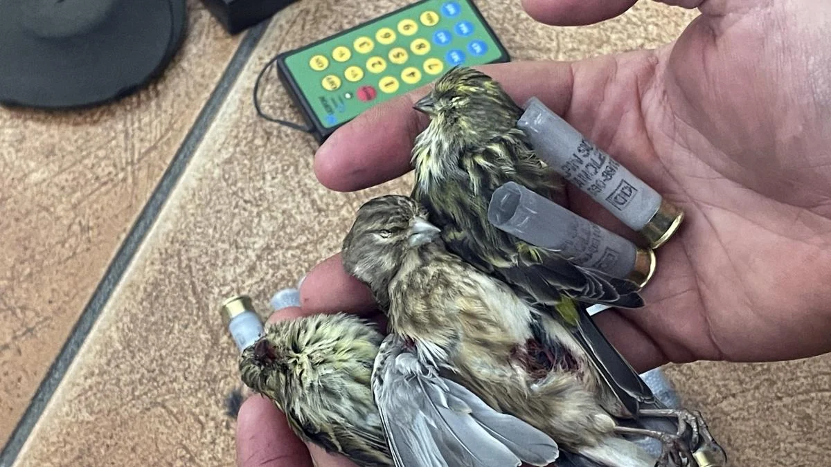 Caçador furtivo com fuzil silenciado é detido em reserva perto do Parque Oglio Nord