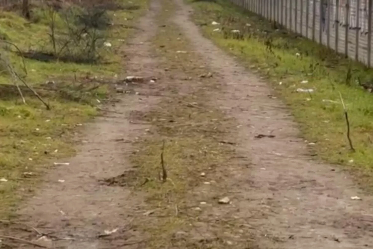 Câmera próxima ao local do tiroteio em Rogoredo pode conter imagens decisivas