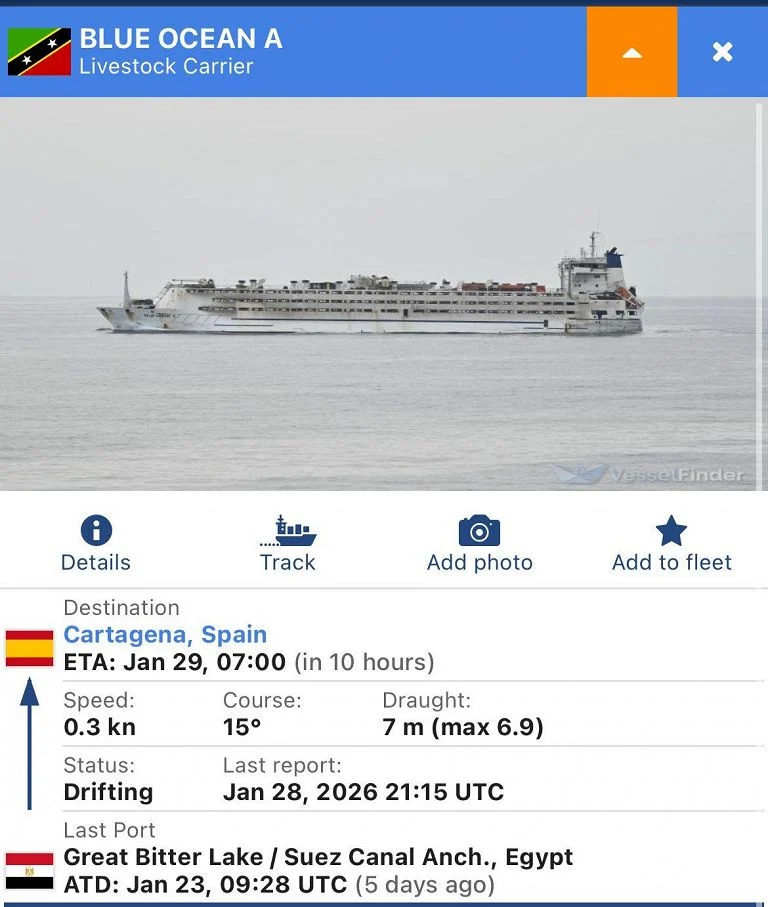 Maltempo, nave cargo rischia naufragio sugli scogli nel sud Sardegna — rainews.it