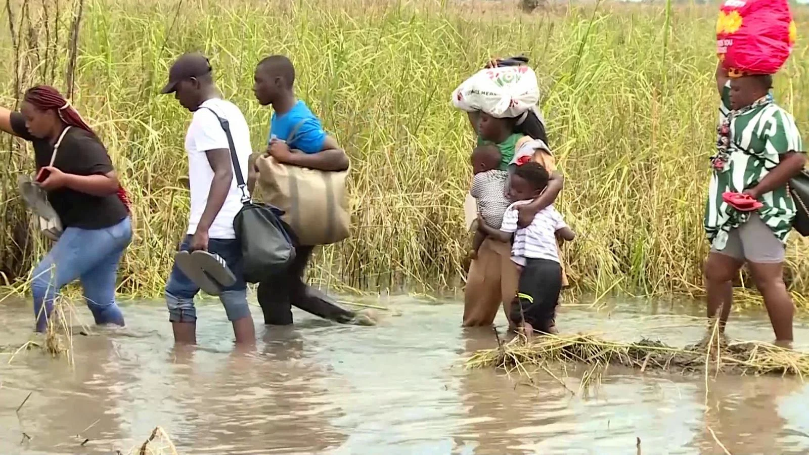Inundações no Moçambique: com as chuvas chegam crocodilos às cidades e agravam crise humanitária