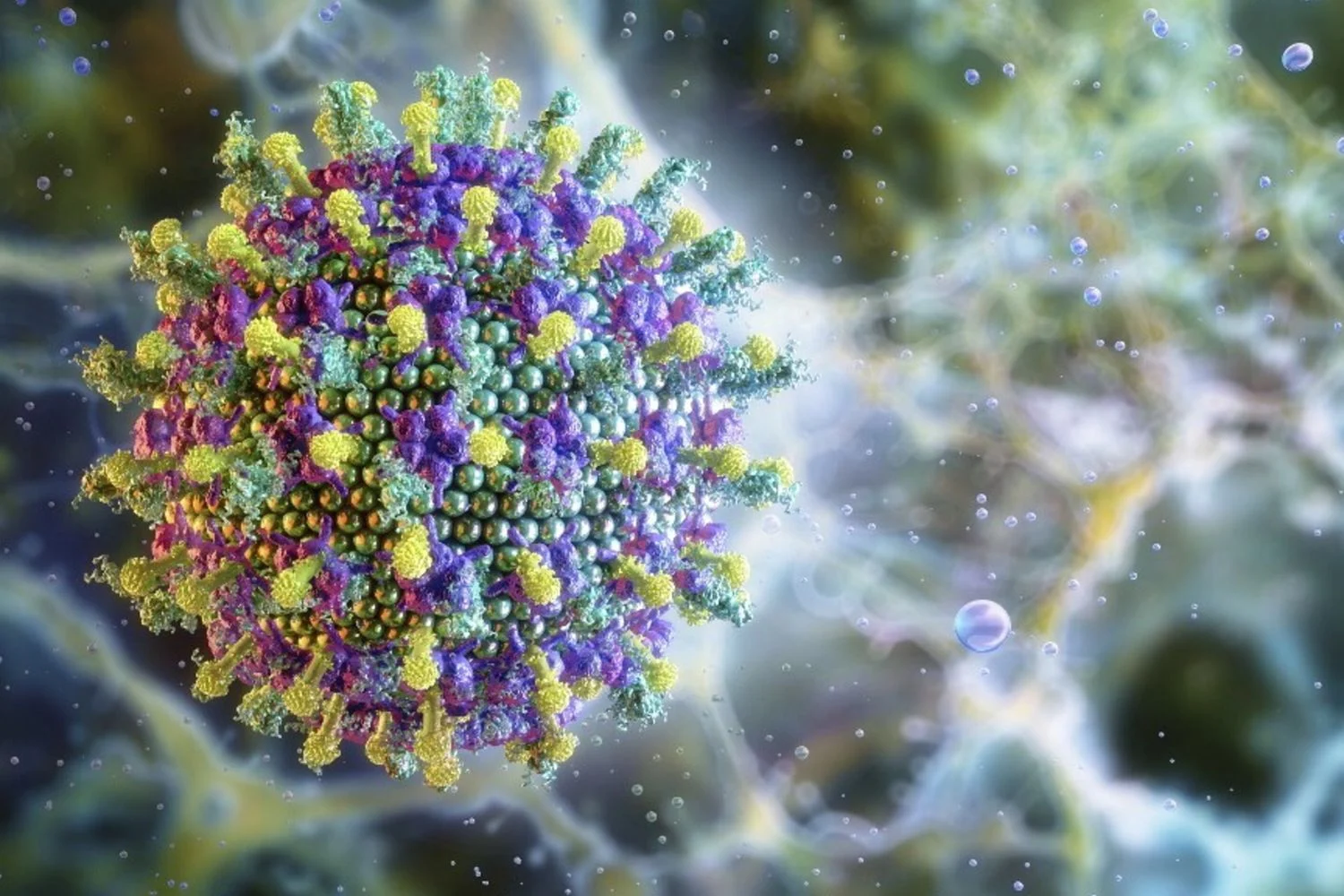 Vírus Nipah na Índia: o que se sabe sobre o surto no Bengala Ocidental e os riscos regionais