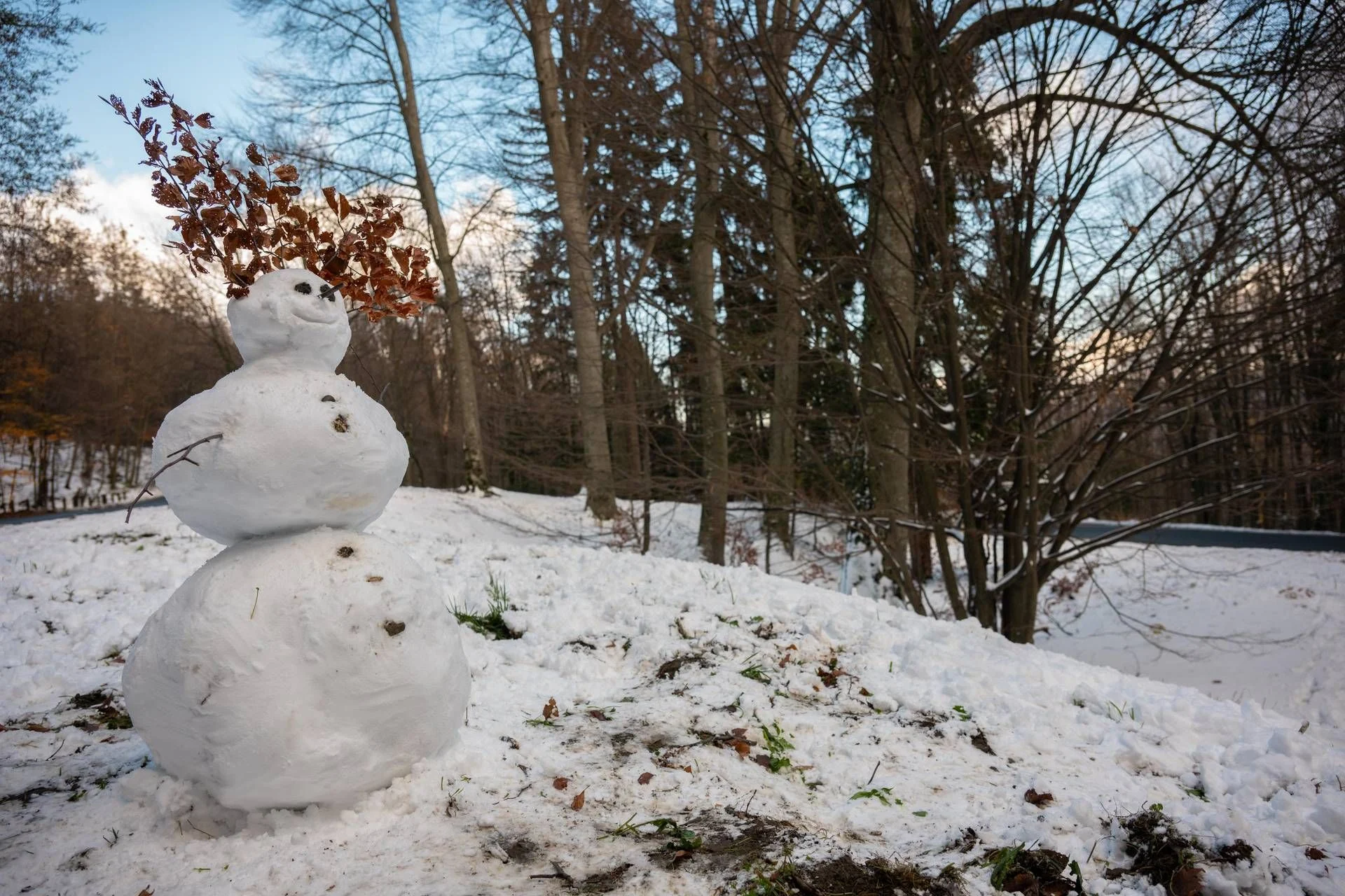 Dias da Merla 2026: origem, lenda e o que dizem os dados sobre os dias mais frios de janeiro