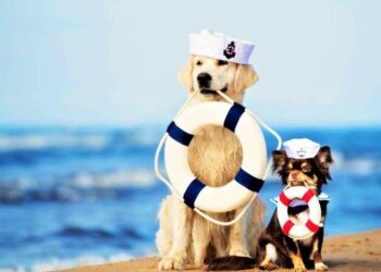 Bau Bau Beach: Um paraíso canino à beira-mar na Itália