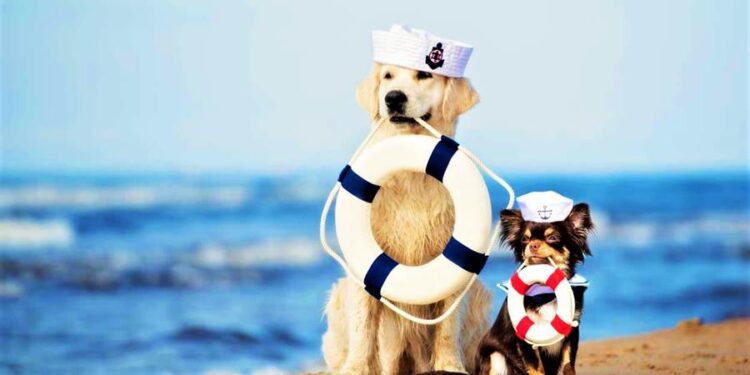 Bau Bau Beach: Um paraíso canino à beira-mar na Itália