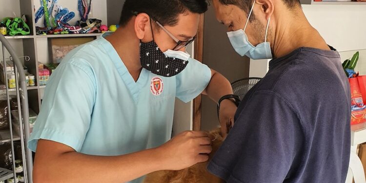 a man in a blue shirt and a man in a blue shirt and a dog