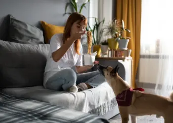 Macarrão e Cães: Um Guia Completo para Donos Responsáveis