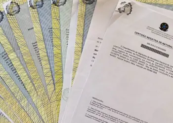 Diferença e Requisitos da Via Paterna e Materna