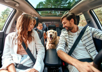 Viajando com seu amigo de quatro patas: Dicas e Regulamentos Importantes