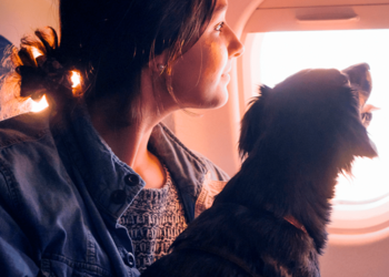 Viajar com Animal de Estimação para o Exterior: O que você precisa saber?
