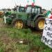 Mobilização no Campo: Agricultores Italianos marcham para Roma